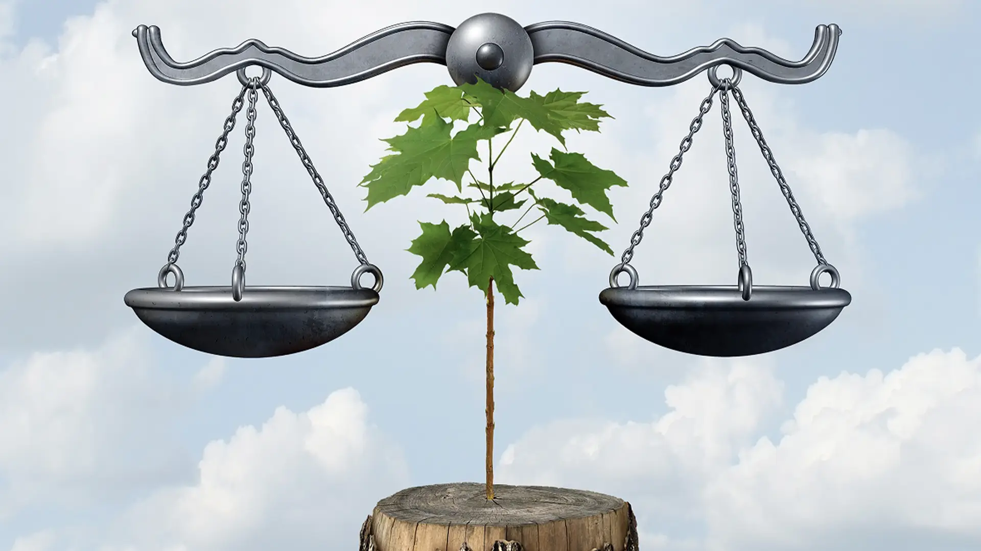 Environmental Law and Regulation Prof. Migai Akech & Associates